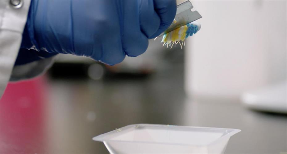A researcher removes bristles from a toothbrush to test them for bacteria