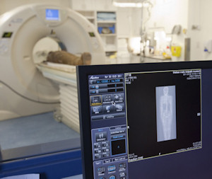 RM2718 undergoes a whole-body CT scan.