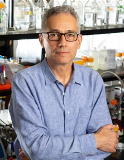 Dr. Stefan Ruhl, PhD